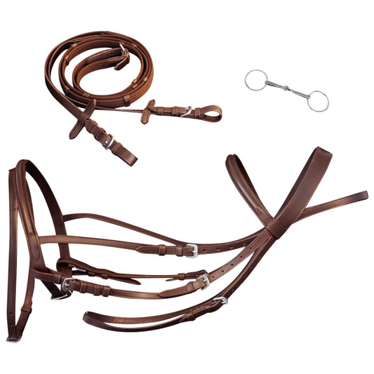 Flash Bridle with Reins and Bit Leather Brown Pony