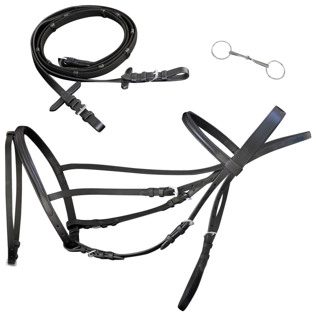 Flash Bridle with Reins and Bit Leather Black Pony